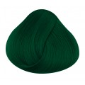Alpine Green Directions Hair Dye